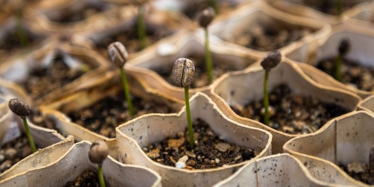 Al lavoro per sostenere la Terra